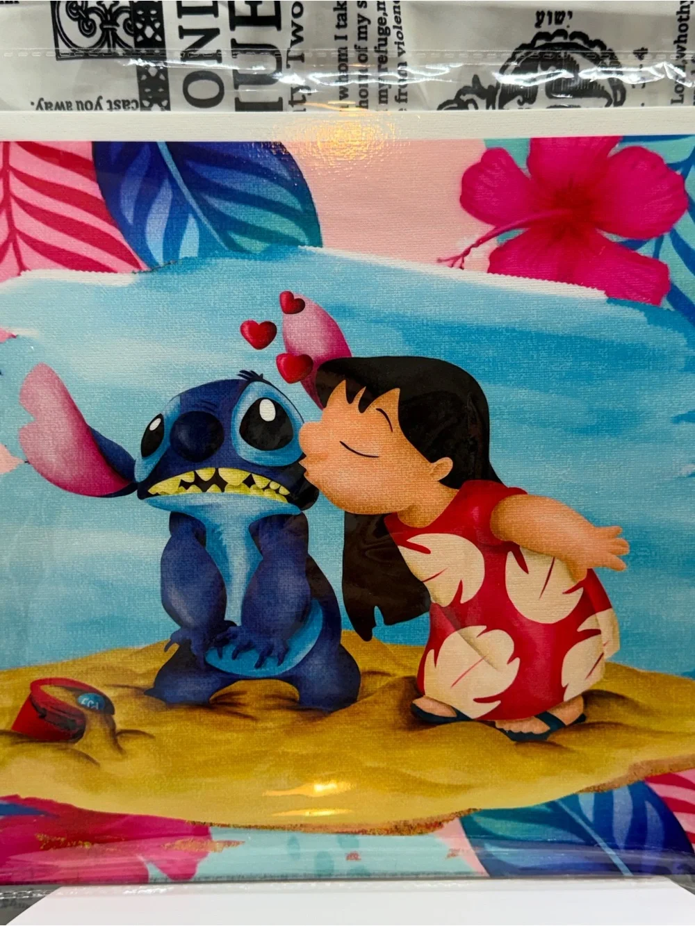Lilo And Stitch Picture Printed